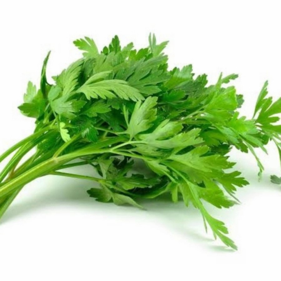 

Daun Seledri
