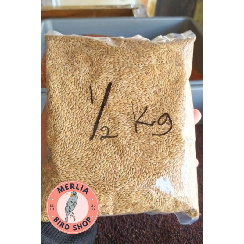 Kenari Seed 500gr Kenari set Kenari seed kiloan Pakan Burung Kenari