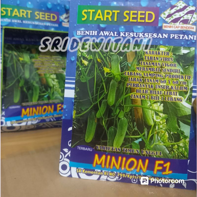 Bibit Timun Lalap MINION F1 20 GRAM START SEED Benih Setara Wulan Cap Panah Merah