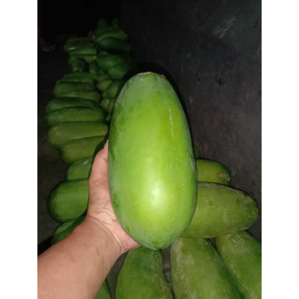 

PEPAYA CALIFORNIA FRESH 1 BUAH