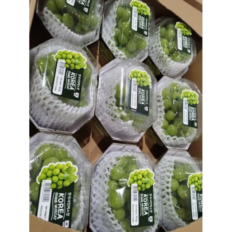 

buah anggur muscat 10pak/dus 5kg premium