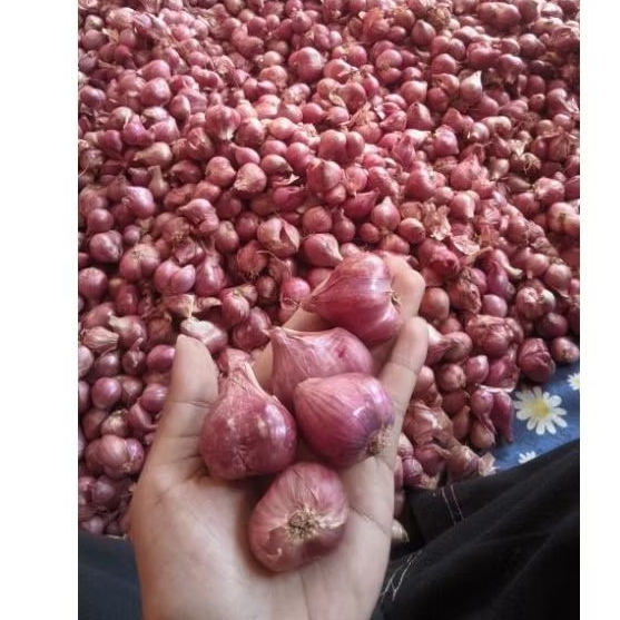 

1kg bawang merah grosir dan eceran