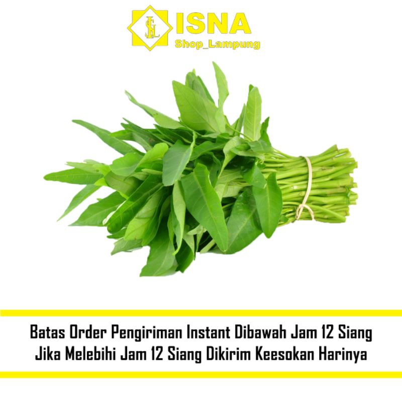 

Kangkung Hijau Sayur Segar 1 ikat