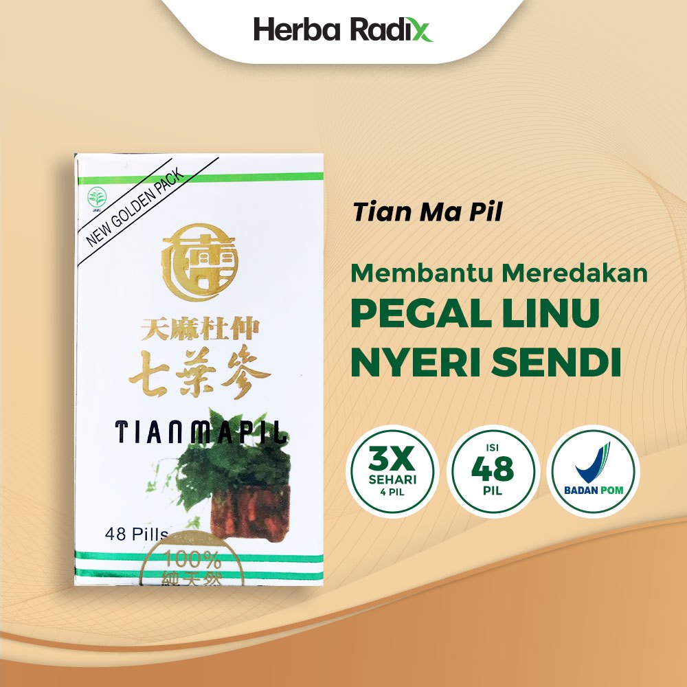 Tianmapil (Seven Leave Ginseng) - Obat Tradisional untuk membantu meredakan pegel linu dan nyeri sen