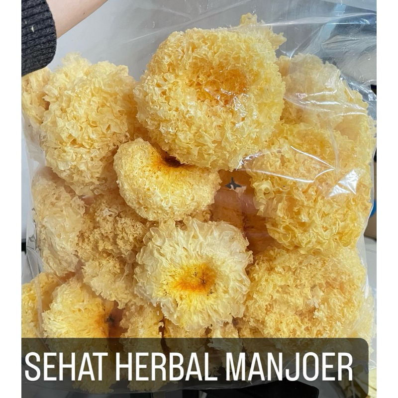 

Mok ni kuning / Jamur Putih Salju / Jamur Es / Bai Mu Er / Snow White Fungus 50gr - 100gr