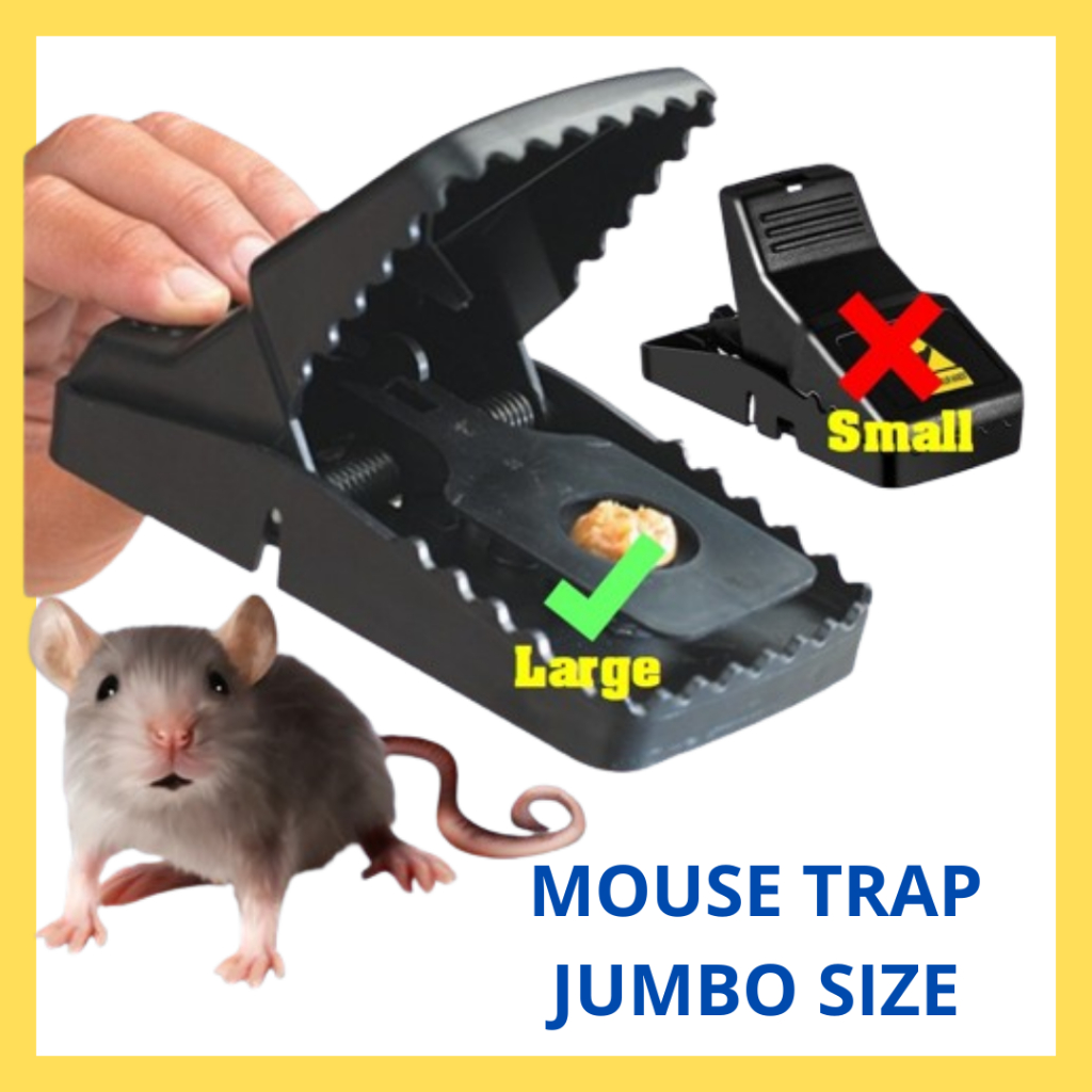 BLSTR VERSI JUMBO JEBAKAN TIKUS JEPRETAN PERANGKAP TIKUS MOUSE TRAP OTOMATIS MUDAH SIMPLE AMPUH