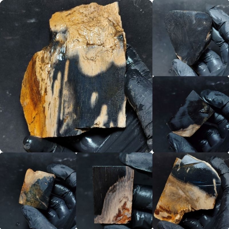 Galih kelor/Bahanan batu akik galih kelor/bongkahan galih kelor/lempengan batu akik galih kelor