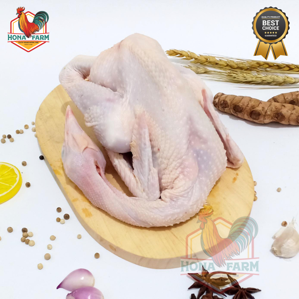 

Hona Farm Ayam Kampung Organik Probiotik 900-1KG (UTUH)