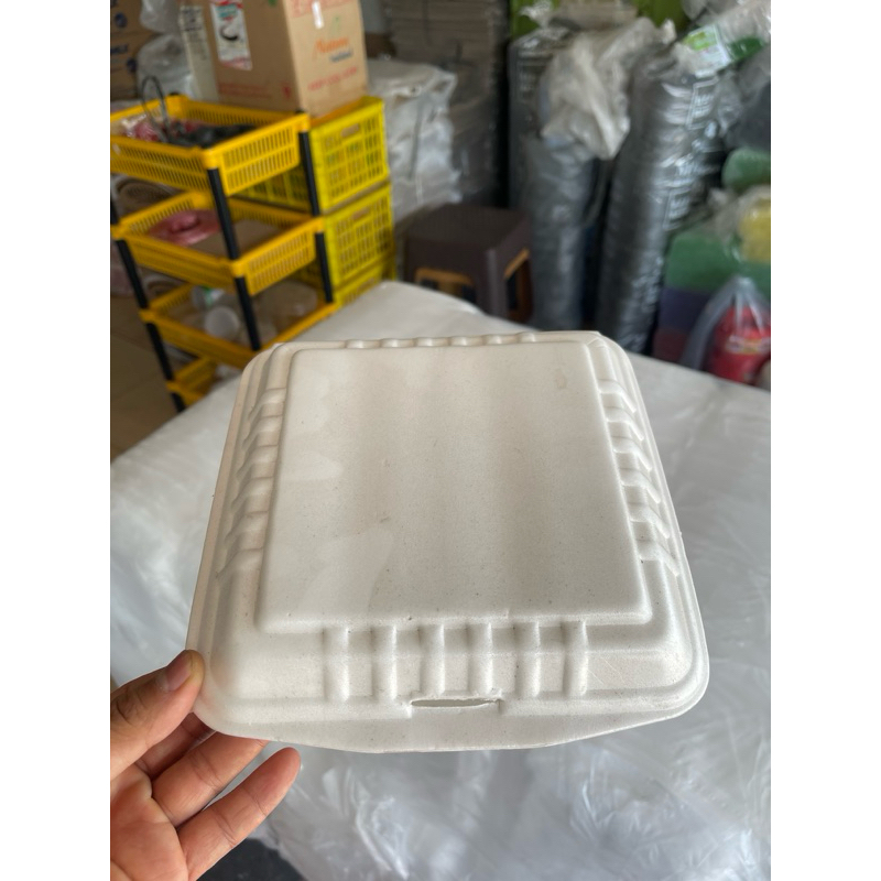 perbal Styrofoam besar/ kotak makan styrofoam besar ( isi 100x10 )