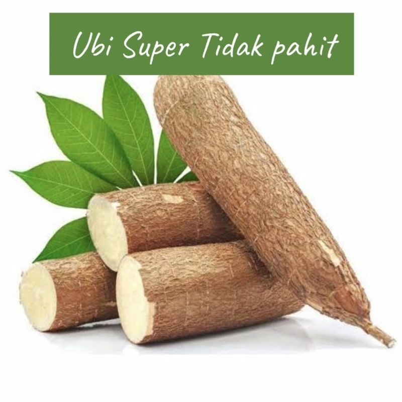 

Ubi kayu, Singkong, Ubi super tidak pahit, Kue Talam Ubi