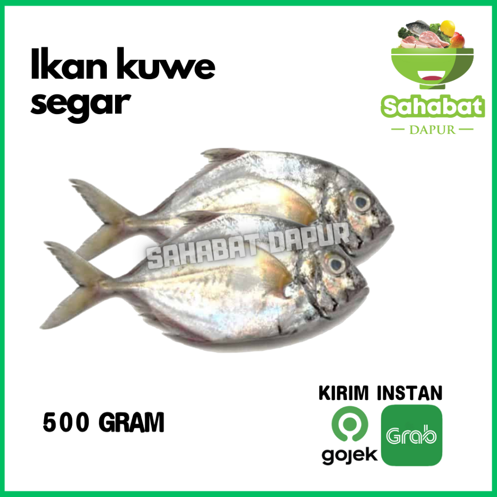 

Ikan Kuwe Segar 500gram - Sahabatdapur