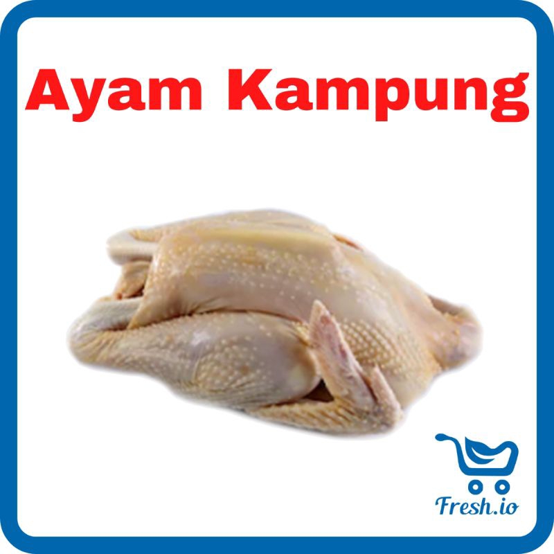 

Ayam Kampung