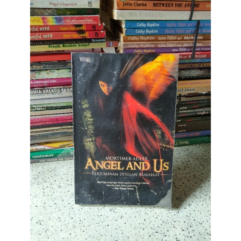 Buku Religi, ANGEL AND US Perjumpaan dengan Malaikat (Mortimer Adler)