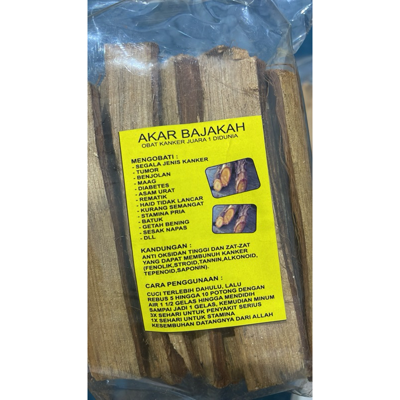 

AKAR BAJAKAH