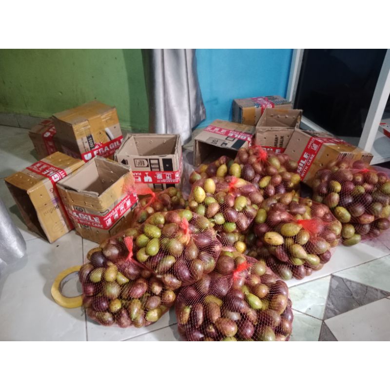 Buah matoa 1kg