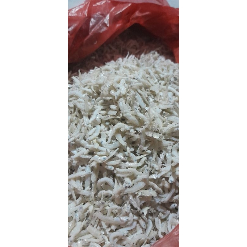 

Murah Teri Medan 500gr