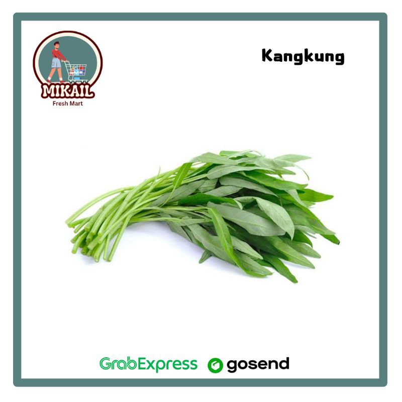 

KANGKUNG satu ikat | kangkung segar