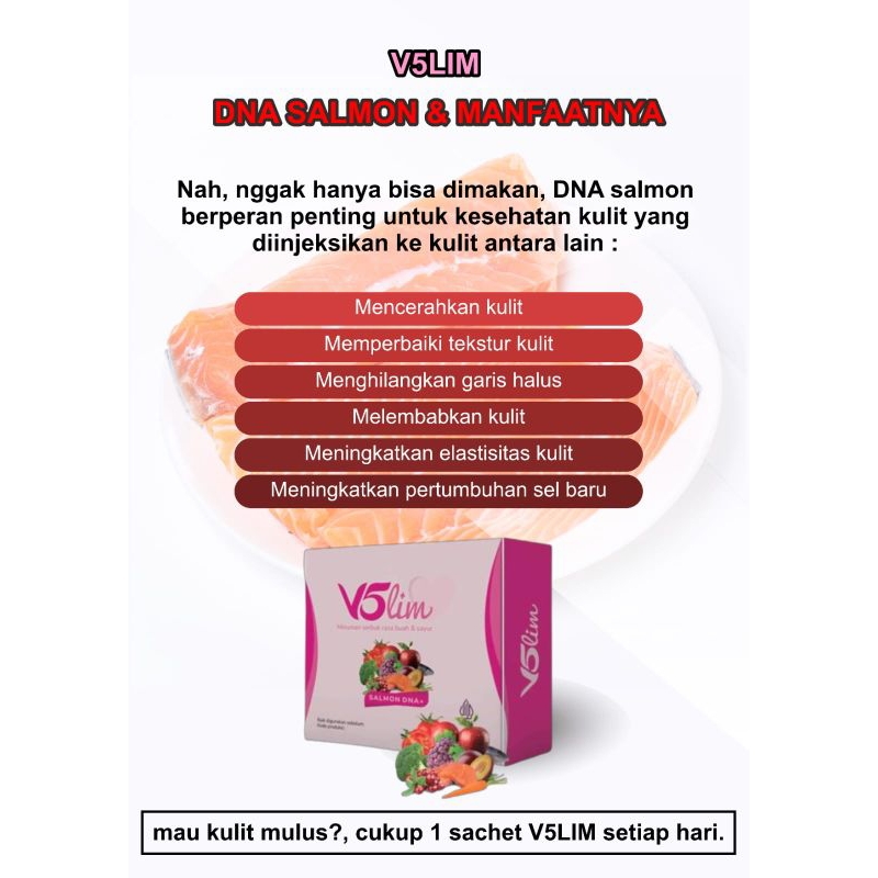 

v5slim original herbal dri buah dan sayur