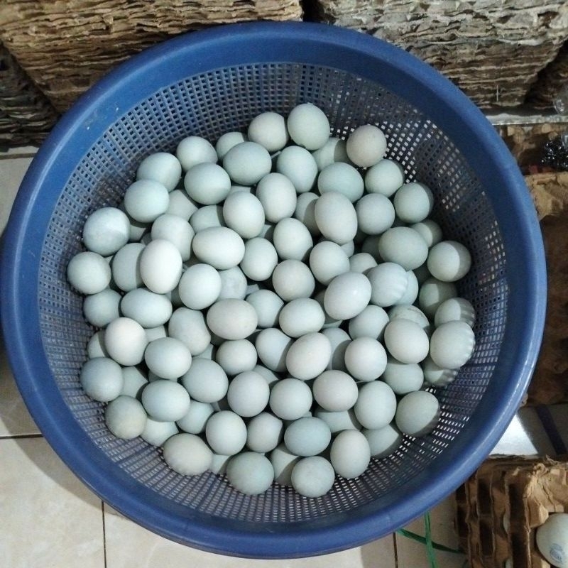 

Telur Asin matang siap makan dijamin halal