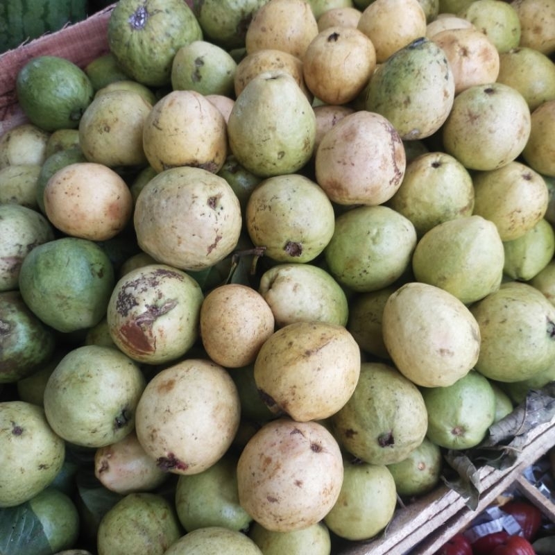 

Jambu Biji /Jus/Manis