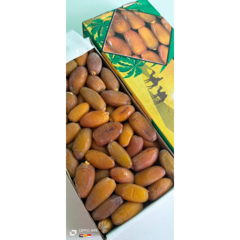 

KURMA RUTHOB-KURMA BASAH-KURMA ORIGINAL-PREMIUM