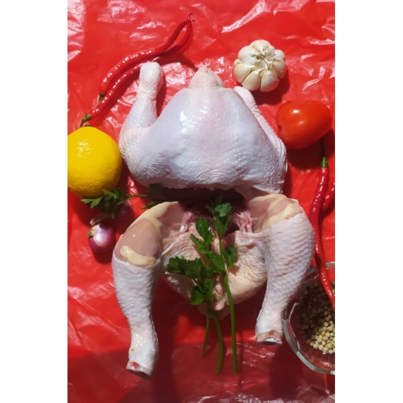 

ayam paha/pkk