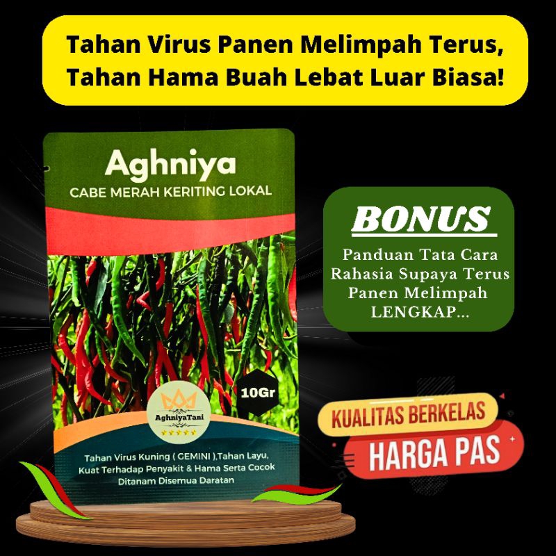 Benih Cabe Cabai Merah Keriting Lokal Dari AghniyaTani 10gr (-+2000biji/butir) benih seed Berkualita