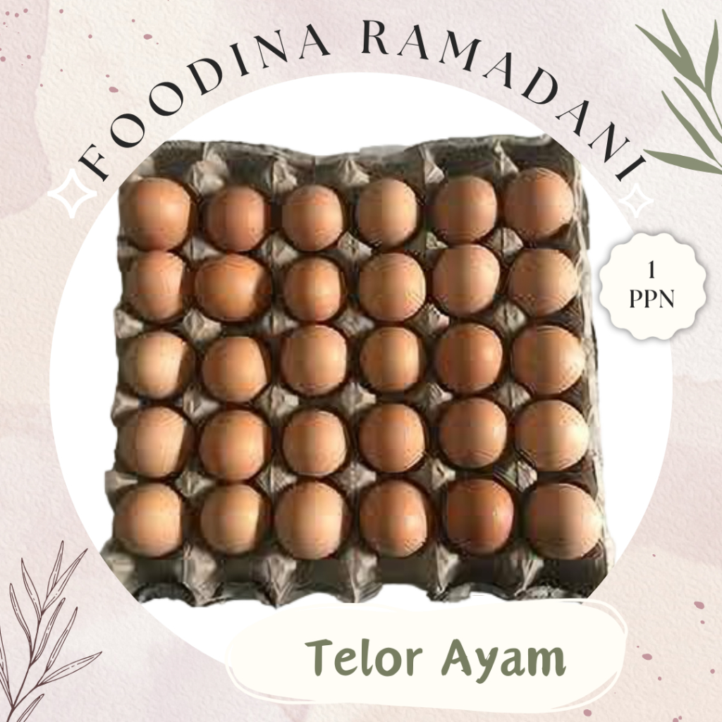

TELOR AYAM Negeri - Chicken Eggs Fresh [ Isi 30 Pcs ] Harga Per PAPAN