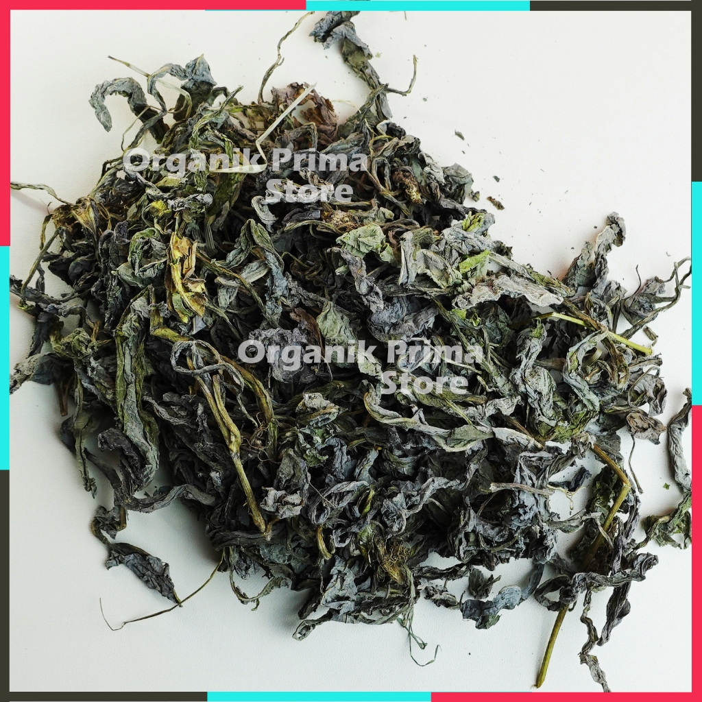 

Daun Tempuyung Kering Bersih dan Organik