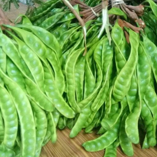 

PETE TUA SORTIR CAMPUR