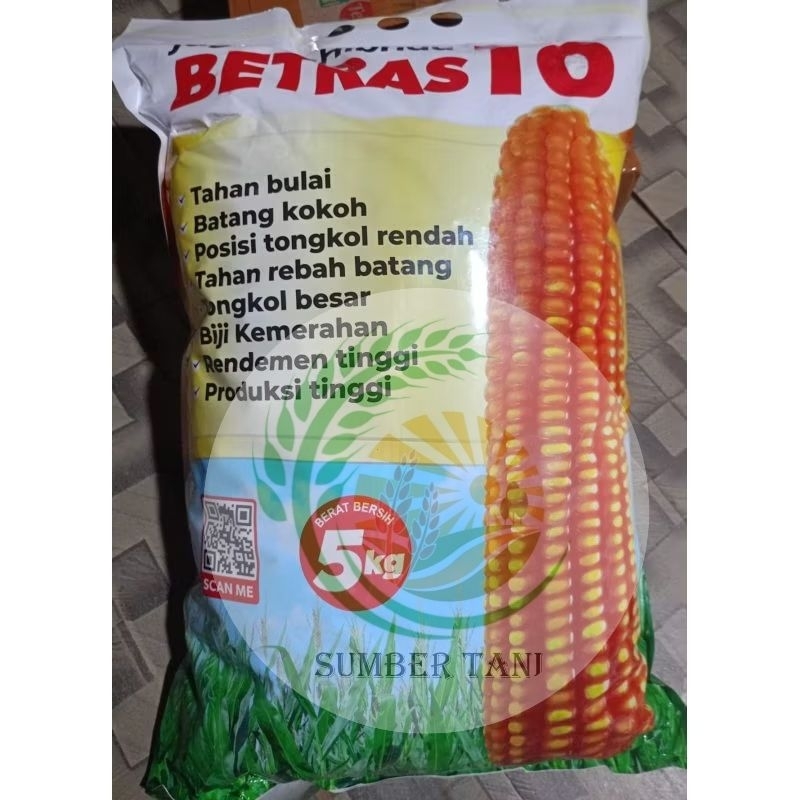 benih jagung hibrida betras 10 5 kg