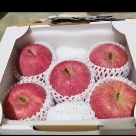 

BUAH APEL FUJI ORIGINAL JEPANG RED SUPER HIGH QUALITY -+1,5 KG