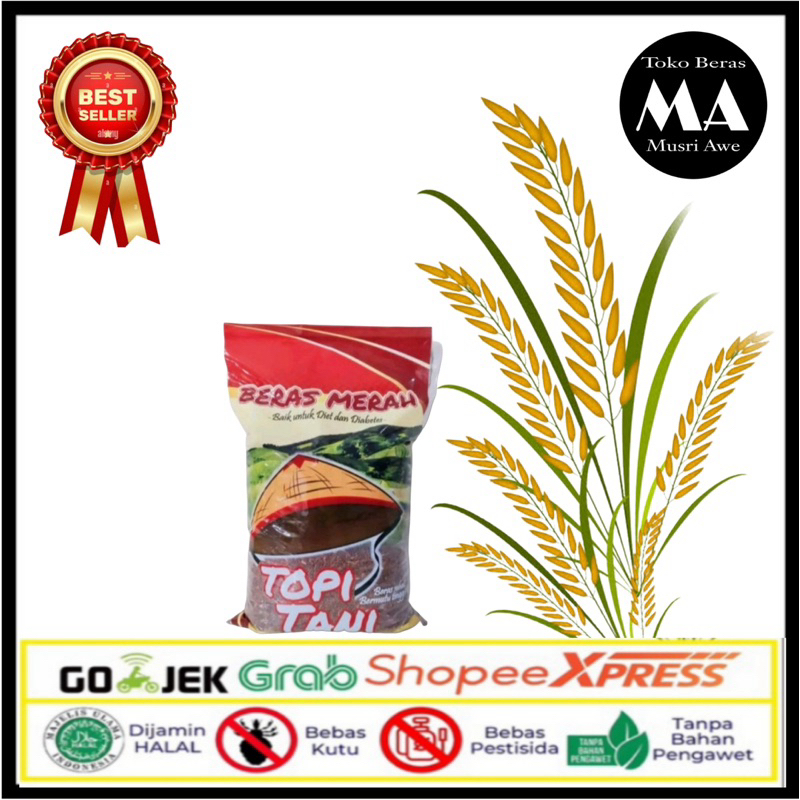 

(CARGO) Beras Merah Organik 5 kg