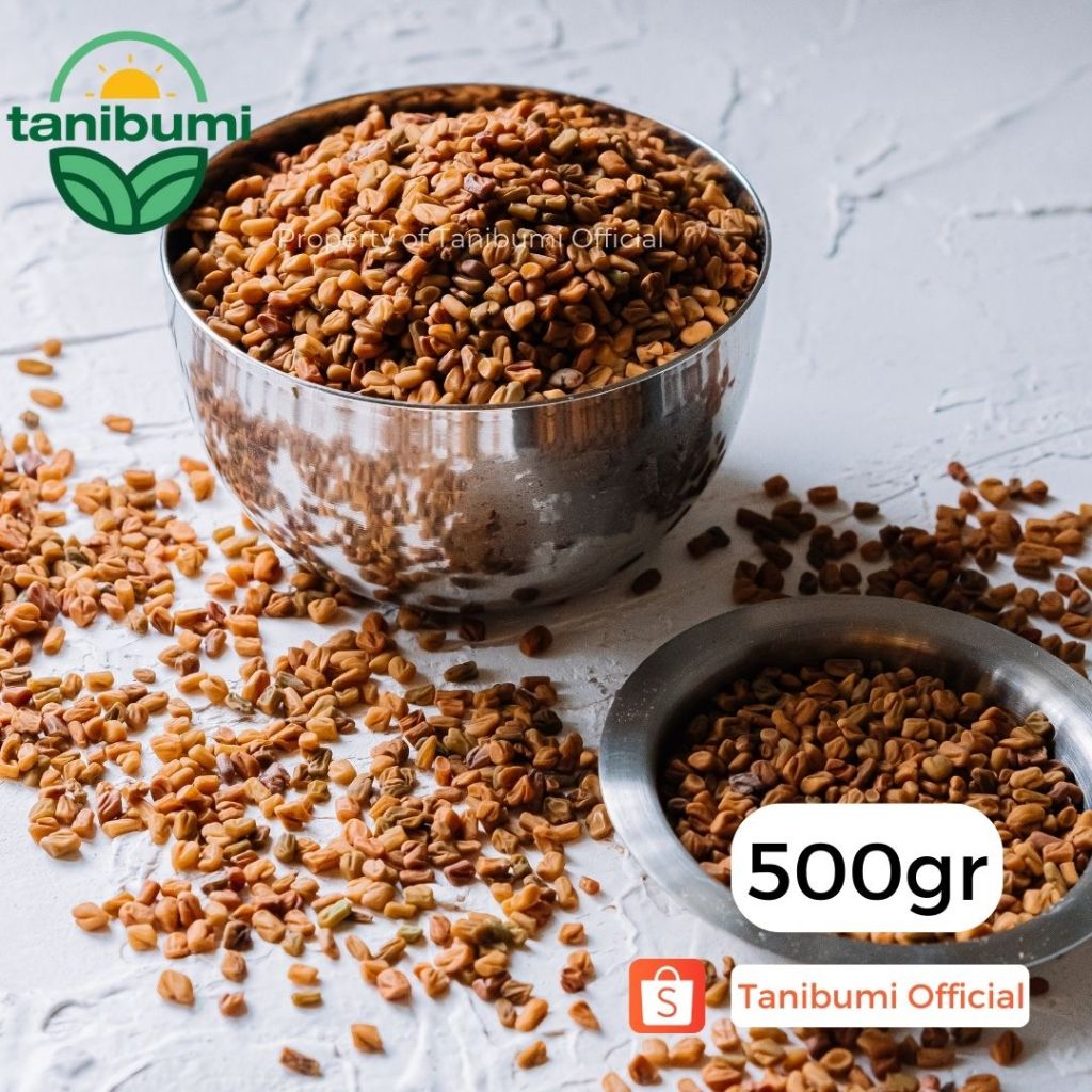 

500g | Klabet | Methi | Pembesar Payudara | Pelangsing Alami | Fenugreek | Hulbah Premium | Termurah
