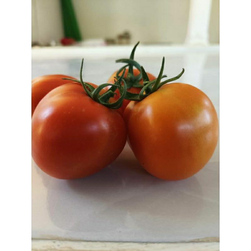 

saos tomat pilihan citra rasa terbaik