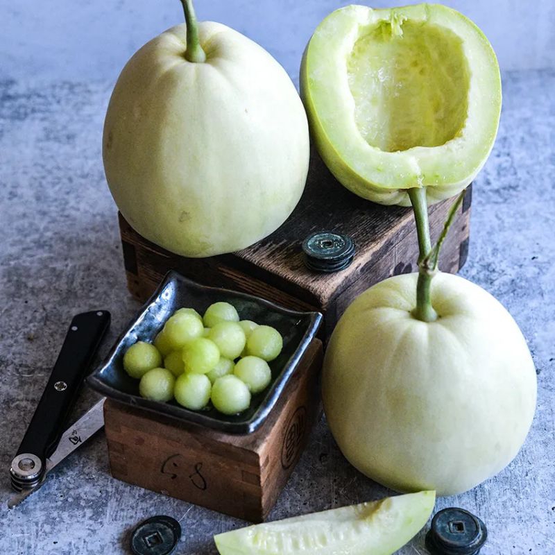 5 benih sakata sweet melon  benih melon manis dari jepang