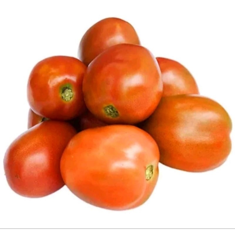 

KRIEGER || Tomat sayur segar