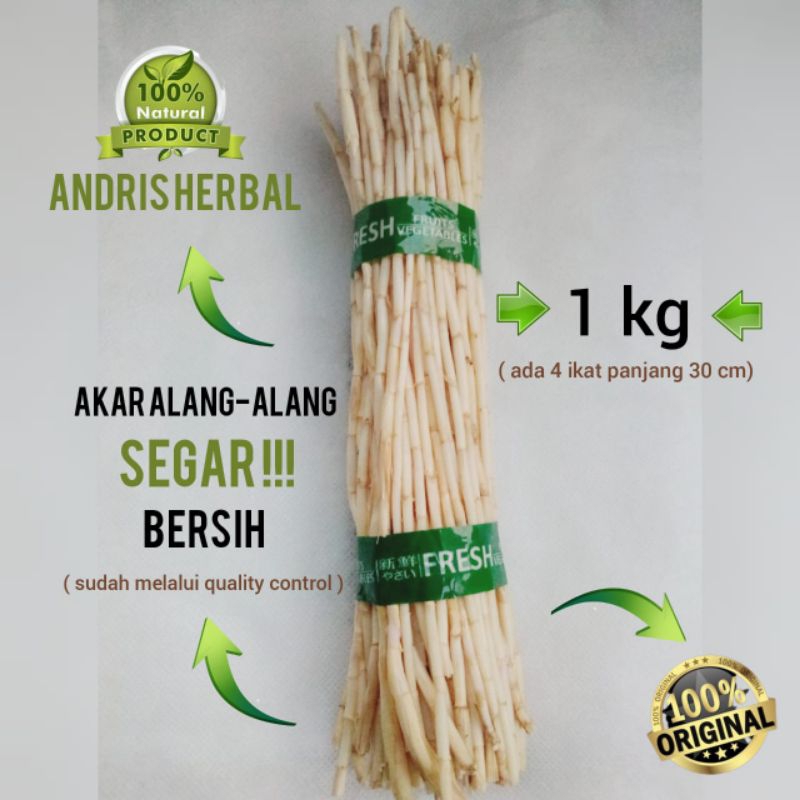 

✅[COD] akar alang-alang/akar Eurih segar 1 kg