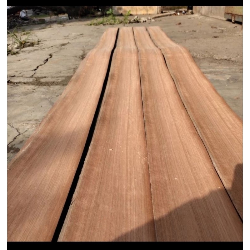 Veneer kayu nyatoh tebal 0.6mm