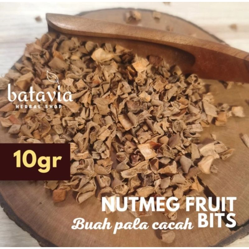 

Biji Pala Cacah Nutmeg Fruit Teh Tisane Premium Herbs Time