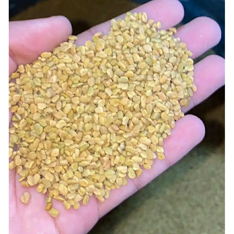 

Biji klabet 500 gram gread A