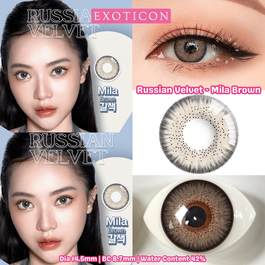 SOFTLENS X2 RUSSIAN VELVET MILA BROWN NORMAL S.D -6.00 14.5 MM