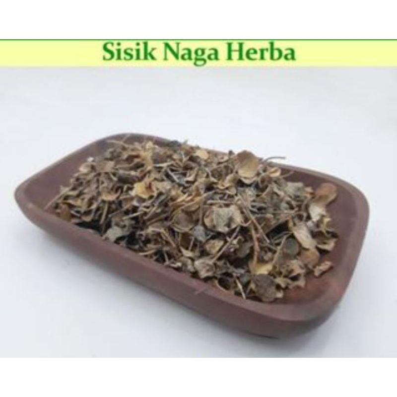 

Sisik Naga Kering 100 Gram Obat Herbal Tradisional Termurah