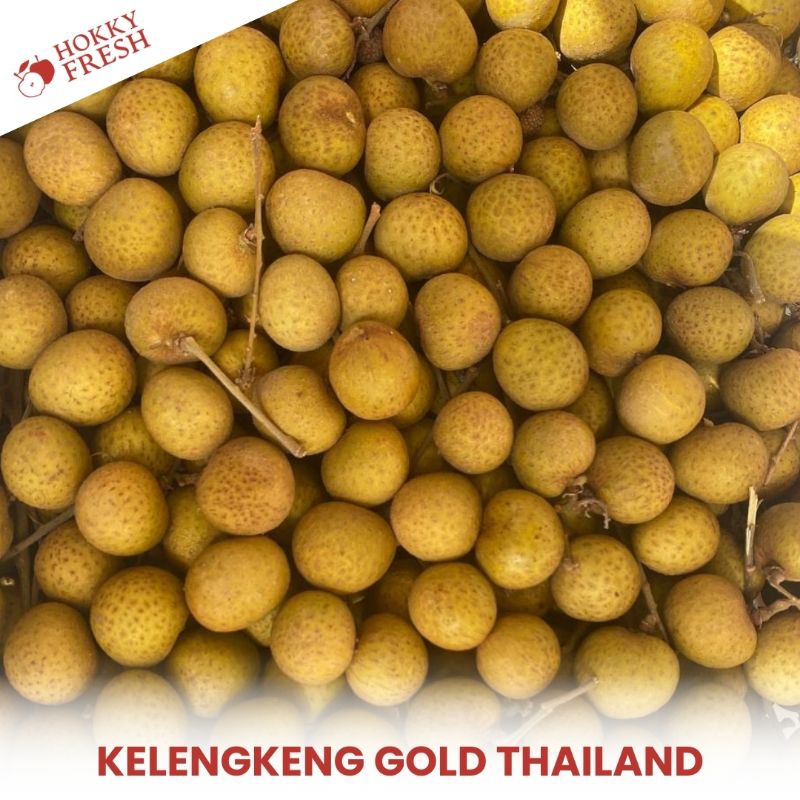 

Kelengkeng Gold Thailand / Kg