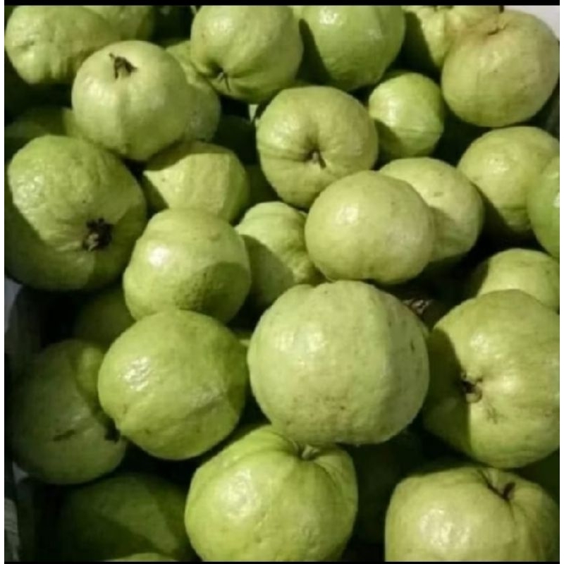 

Jambu Kristal Lokal 1kg