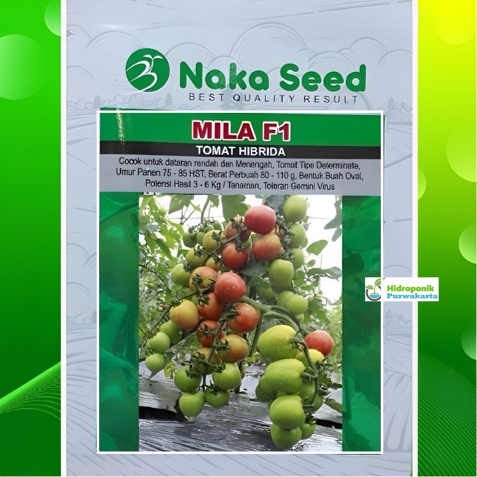 Benih Tomat MILA F1 5 gram Buah Oval Dataran Rendah Menengah Cap Naka Seed