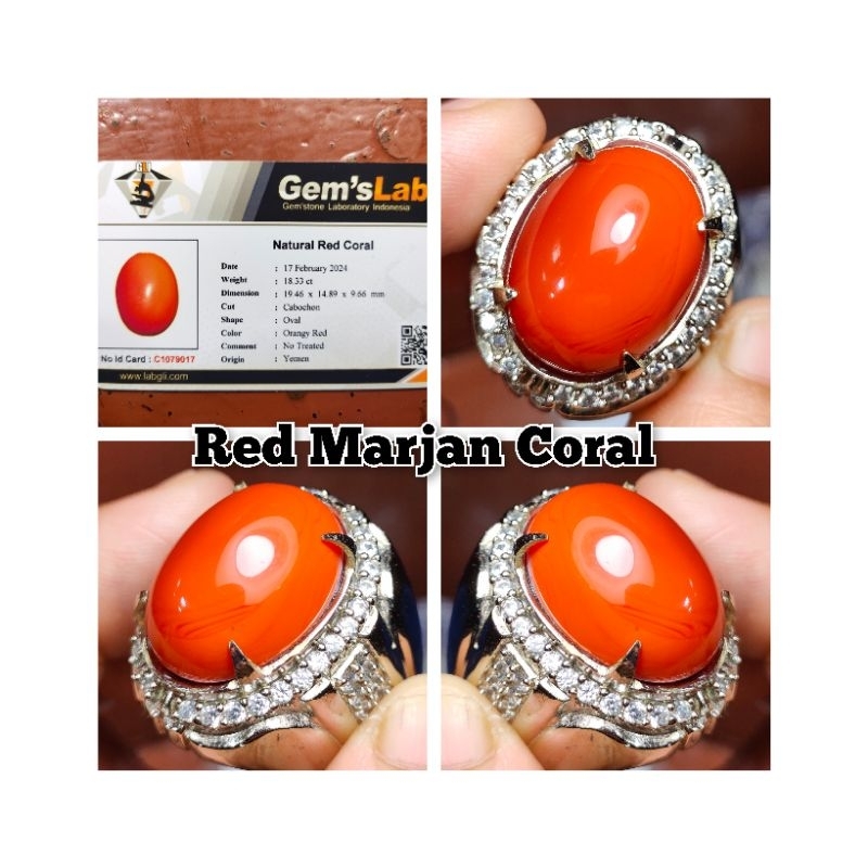 NATURAL BATU RED MARJAN CORAL YEMEN