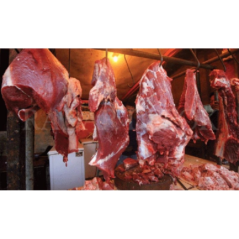

daging sapi