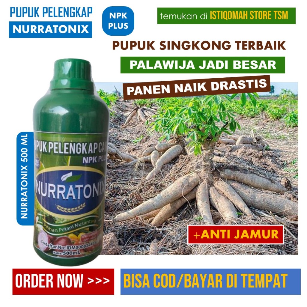 NURRATONIX Pupuk Pelengkap Cair Umbi Singkong Terbaik - Melebatkan, Padat dan Besar Singkong Cepat P