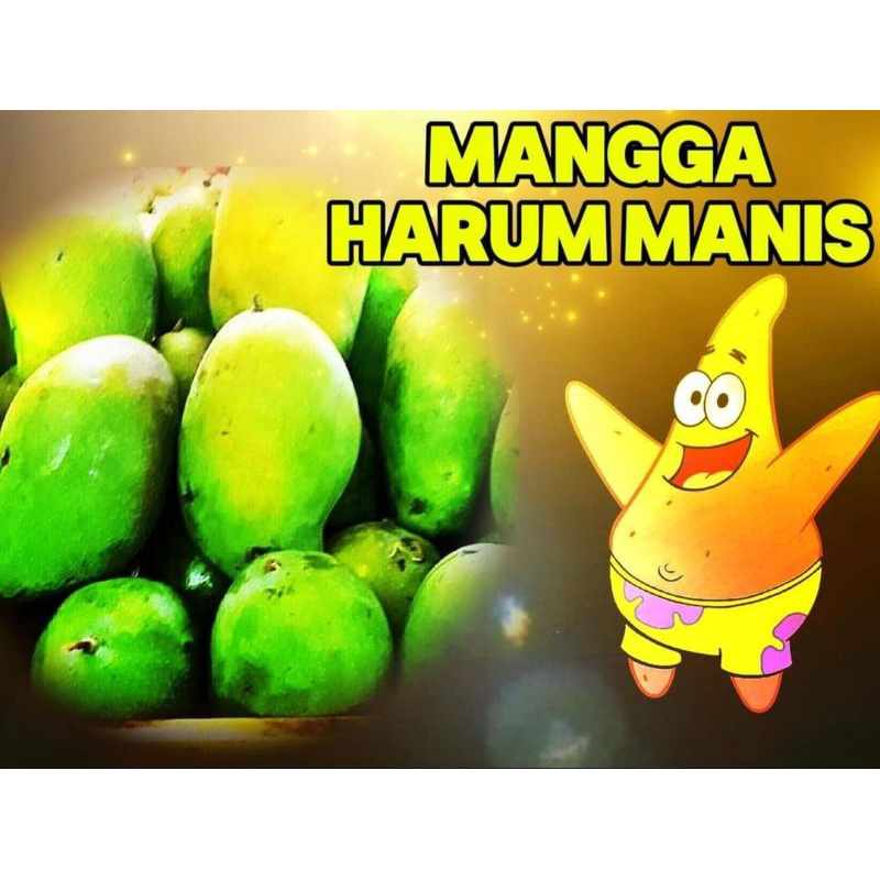 

MANGGA // MANGGA HARUMANIS/ MANGGA HARUM MANIS 1 KG